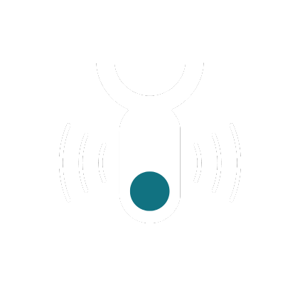 Button Icon