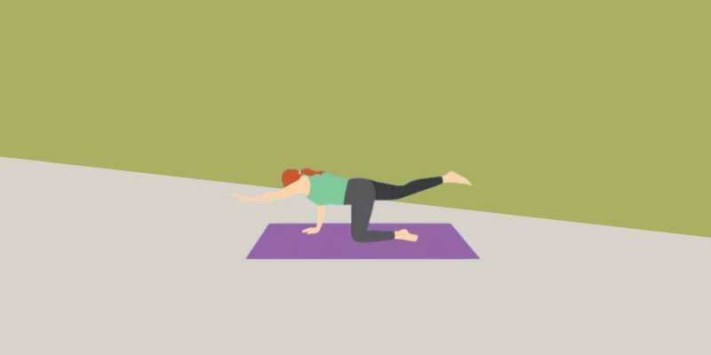Yoga position - Bird Dog Yoga position - Bird Dog
