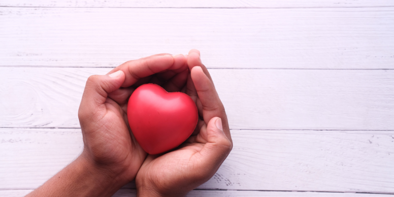 Hand holding a heart-Why is heart health important?