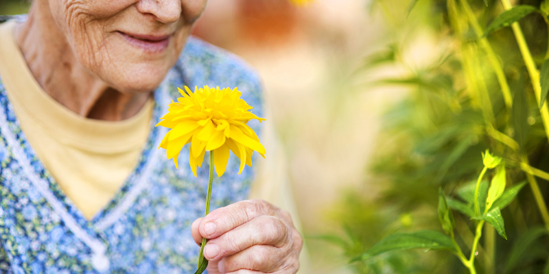 Happy senior smelling flowers
