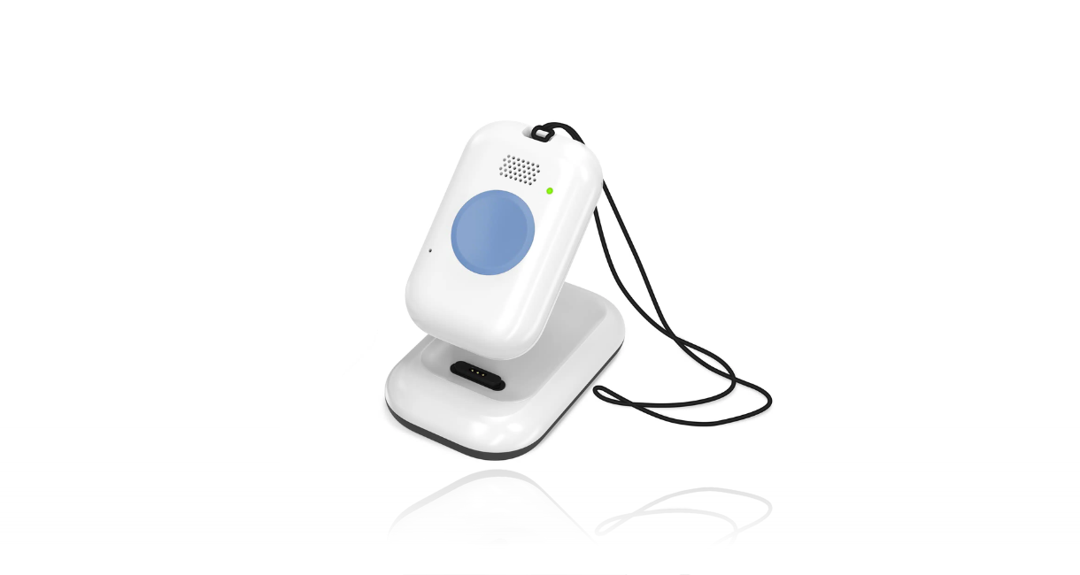 On the Go with Wandering Product Image