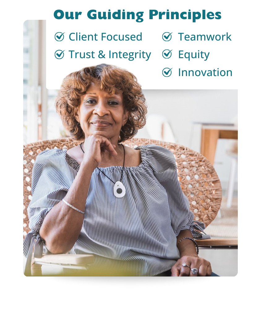 Annual Report- Guiding Principles